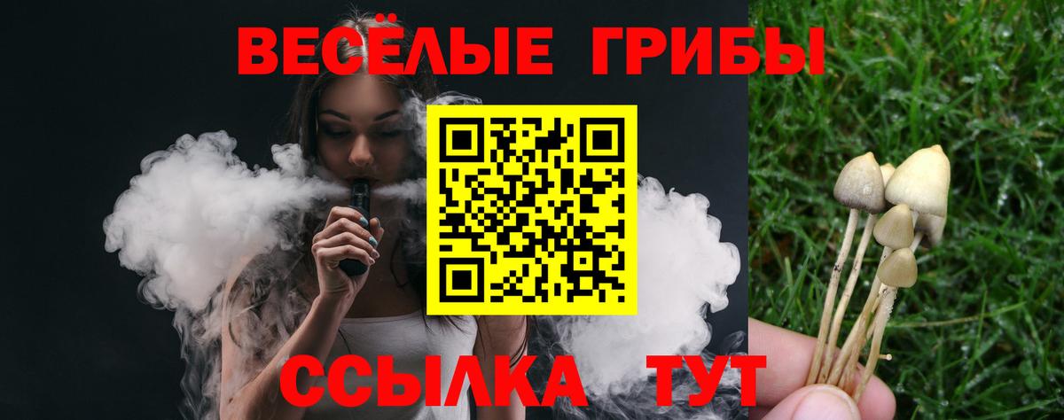 Сегежа  Псилоцибиновые грибы Psilocybine cubensis  Вход с VPN  Галлюциногенные грибы мухоморы 